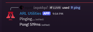 Ping command screenshot