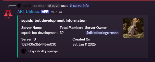Discord server information command preview