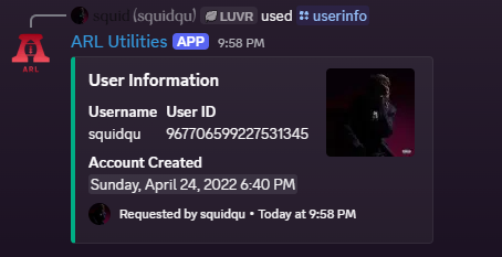 Discord user information command preview