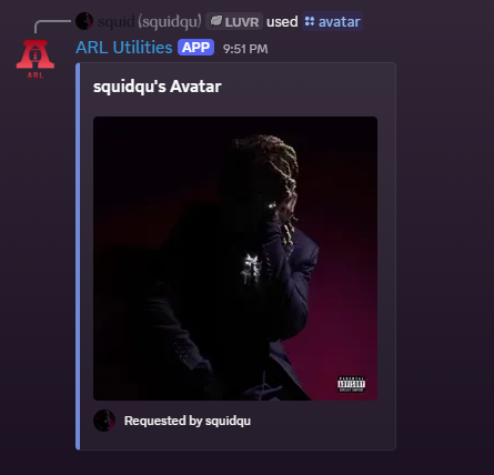 Avatar command screenshot